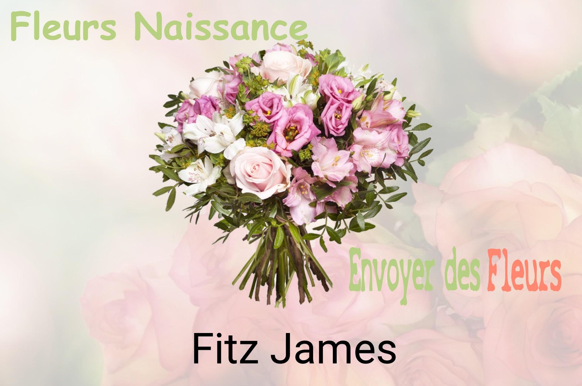Bouquet de fleurs de naissance livré à Fitz-James